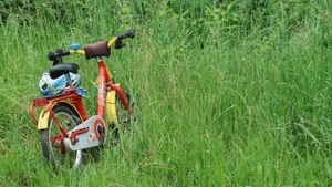 Notenrad-Familientour zum Kletterorchester