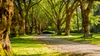 Günthersburgpark