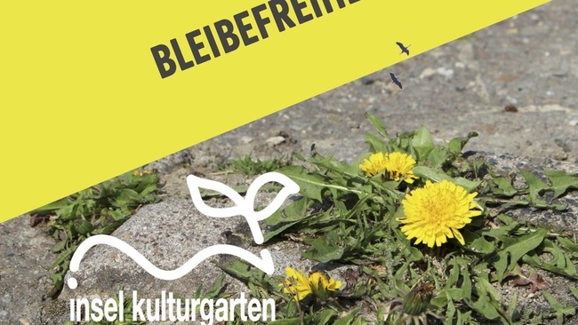 INSEL Kulturgarten 2026 / Bleibefreiheit