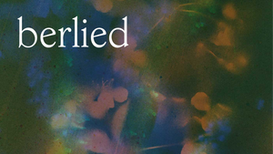 berlied - Wilde Things