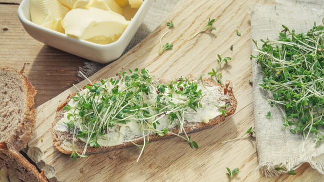 Schütteln, Staunen, Streichen – Wir machen Butter selbst