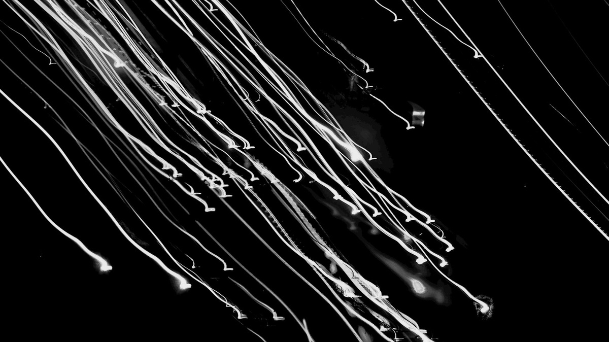 LichtBlicke in die Sammlung #11