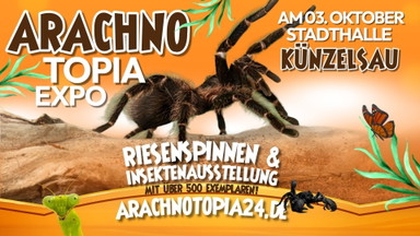 Riesenspinnen & Insektenausstellung - Künzelsau