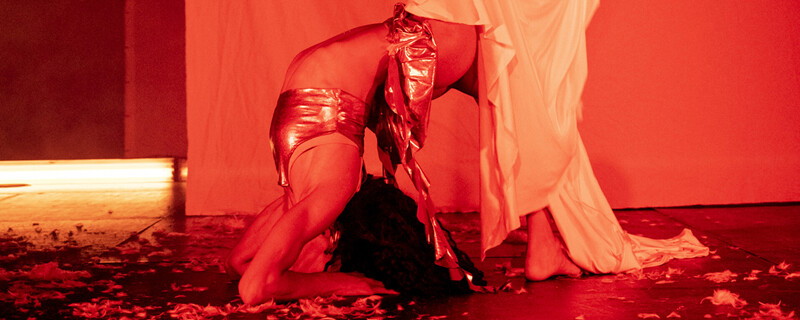 Ballroom Showcase & Queer Performance Night