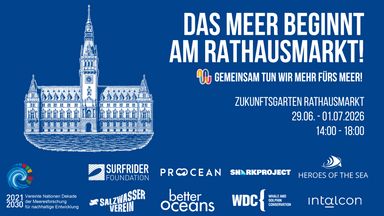 Das Meer beginnt am Rathausmarkt - Gemeinsam tun wir mehr fürs Meer