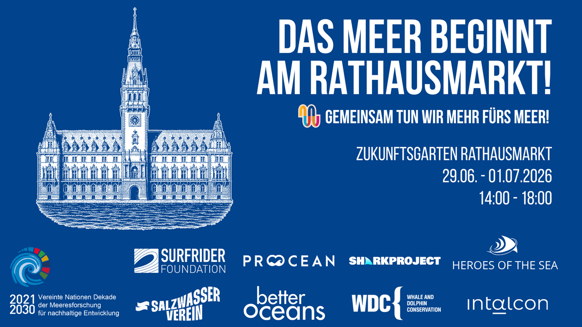 Das Meer beginnt am Rathausmarkt - Gemeinsam tun wir mehr fürs Meer