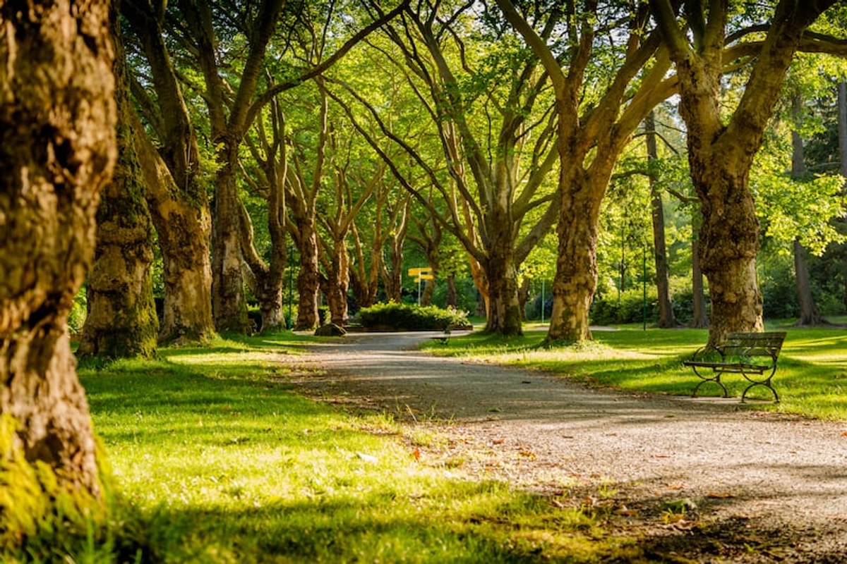 Schlosspark Stammheim