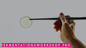 Fermentation für Fortgeschrittene