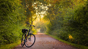 Von G bis G - Radtour durch Leipzig