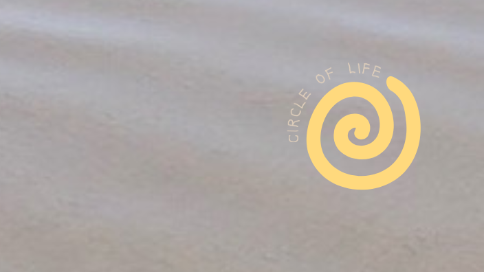 circle of life logo