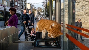 Fotoausstellung "Together in transit"