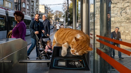Fotoausstellung "Together in transit"