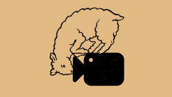 Central Asia: At the Crossroads. Short Film Festival Berlin