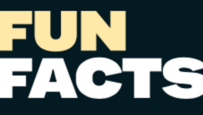 CONNY: FUN FACTS witzig, wichtig, richtig