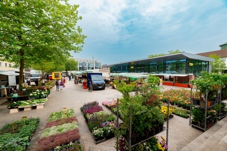 Wochenmarkt Vegesack