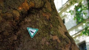 Naturdenkmäler im Münchner Westen per Rad entdecken