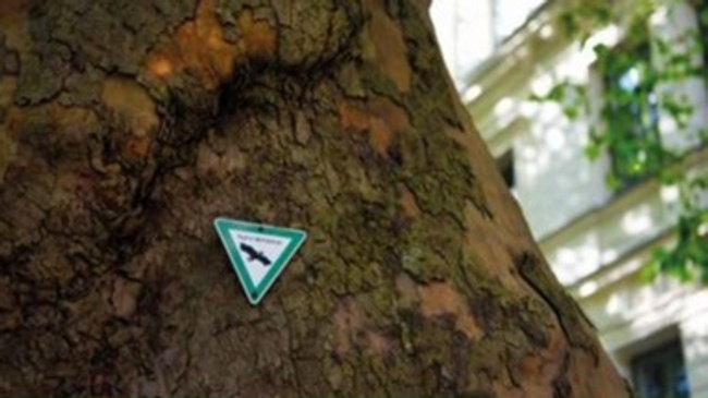 Naturdenkmäler im Münchner Westen per Rad entdecken