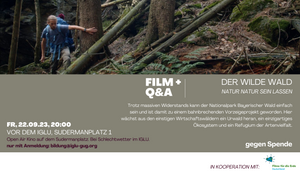 FILM: Der Wilde Wald - Natur Natur sein lassen