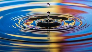 Kein Leben ohne Wasser - Auftaktveranstaltung des Gemeinschaftswerk Nachhaltigkeit zum Jahresthema 2026