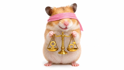 Hamsti Pays Fair