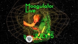 Moogulator Live