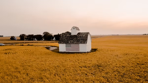 Stefanie Sargnagel - Iowa – Ein Ausflug nach Amerika