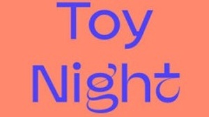 Toy Night