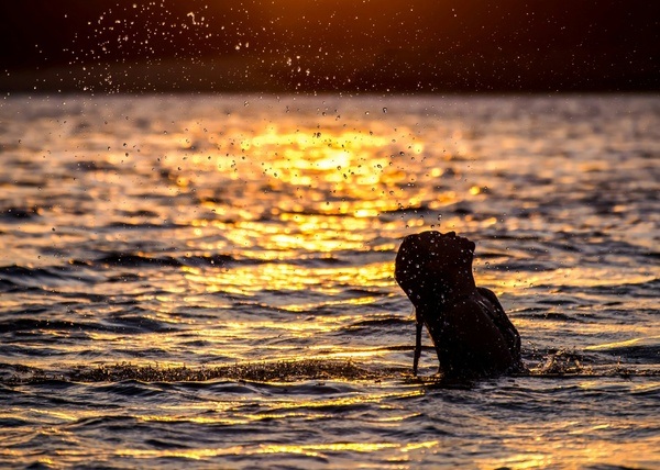 Bremen's best swimming lakes in and around Bremen
