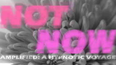NOT NOW AMPLIFIED