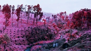 Remix. Photographie – Fiktion und Wahrheit