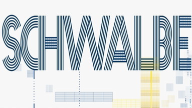 SCHWALBE