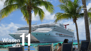 Wissen um 11: Arbeitsbedingungen in der Kreuzfahrtindustrie