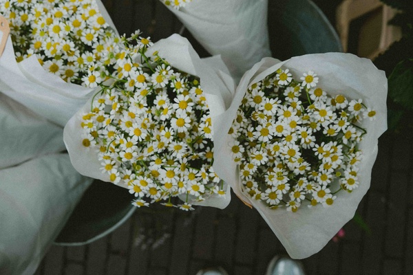 Was geht im Mai 2026 in Freiburg? - unsere Event Highlights