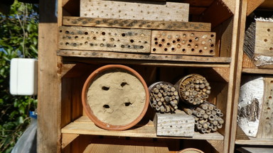 Insektenhotels bauen (mit Anmeldung)