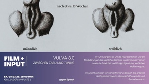 Film: Vulva 3.0 - Zwischen Tabu und Tuning