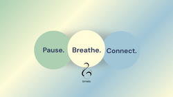 bmelo | Michelle Welther