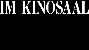 IM KINOSAAL