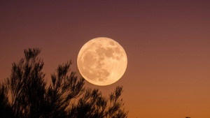 Fullmoon Circle 31.05.2026