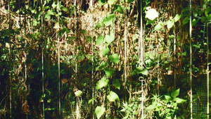 ALIMENTARY LONGINGS :: GARDEN GATHERING