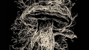 Work in Progess - Dokumentarfilme zu Arbeit: OLANDA