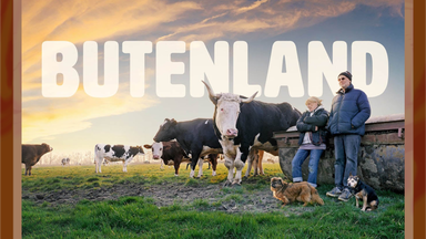 🍿🎥✮⋆ Filmvorführung Butenland in der Baracke, kostenlos, mit Essen und Waffeln 💚🧇