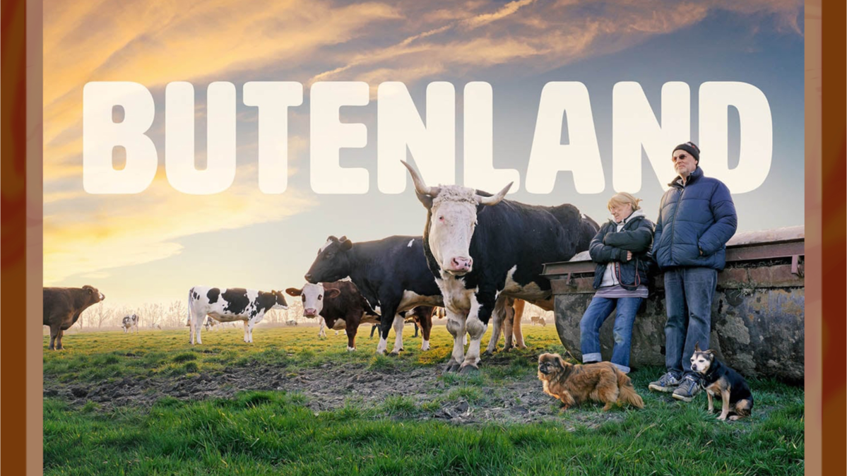 🍿🎥✮⋆ Filmvorführung Butenland in der Baracke, kostenlos, mit Essen und Waffeln 💚🧇