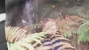 CRUISE with DJ Qu, Kareem El Morr, Muallem, Newa, XDB