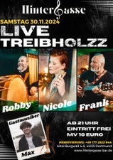 Live Band Treibholzz