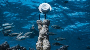 Berlin Science Week - Ausstellung: Beyond Us