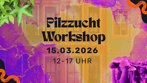 Pilzzucht Workshop