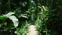 Arboretum