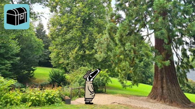 Detektiv-Trail Detmold: Flüsternde Mammutbäume