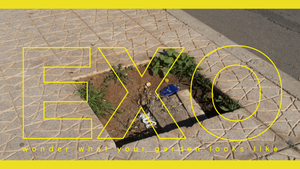 EXO - wonder what your garden looks like