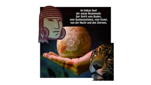 Kakao Training - in Stuttgart - Ost mit Anne und Alejandro